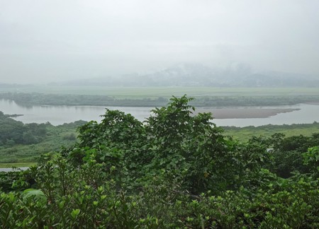 f:id:hantubojinusi:20140815140906j:image