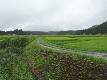 f:id:hantubojinusi:20140816115019j:image