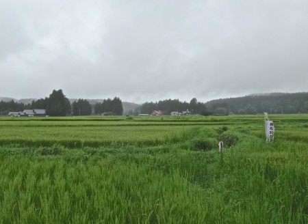 f:id:hantubojinusi:20140816115247j:image