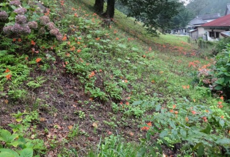 f:id:hantubojinusi:20140816143929j:image