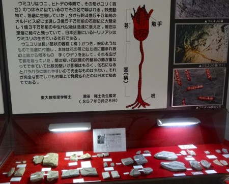 f:id:hantubojinusi:20140816144145j:image