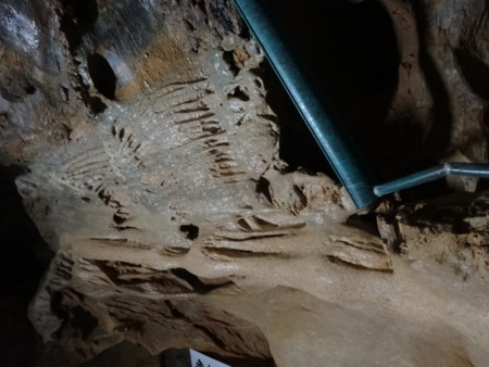 f:id:hantubojinusi:20140816145037j:image