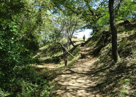 f:id:hantubojinusi:20140822130500j:image