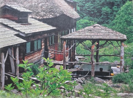 f:id:hantubojinusi:20141017094024j:image