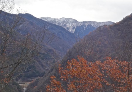 f:id:hantubojinusi:20141116092659j:image