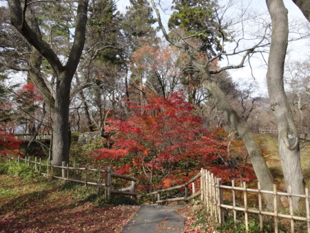 f:id:hantubojinusi:20141116121650j:image