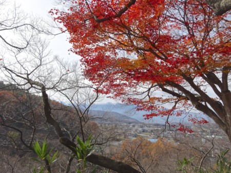 f:id:hantubojinusi:20141116121821j:image