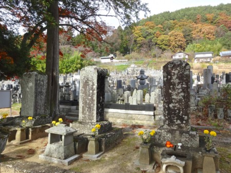 f:id:hantubojinusi:20141116123437j:image