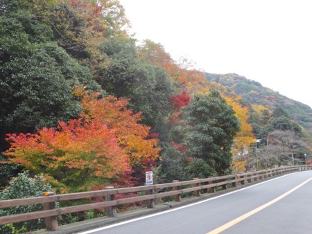 f:id:hantubojinusi:20141128125442j:image