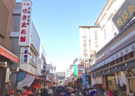 f:id:hantubojinusi:20150110101306j:image