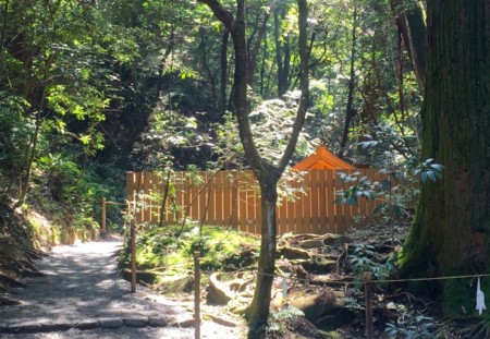 f:id:hantubojinusi:20150725134801j:image