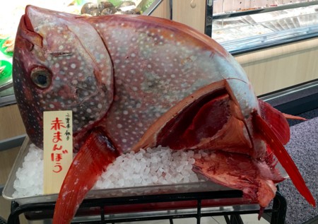 f:id:hantubojinusi:20160130131323j:image f:id:hantubojinusi:20160130131323j:image