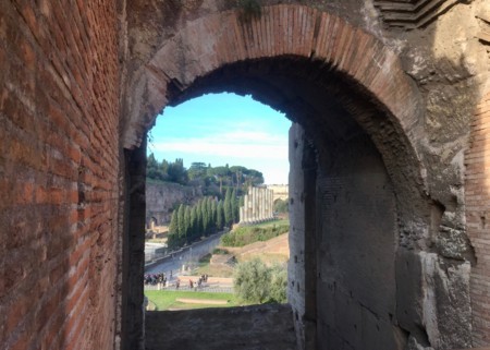 f:id:hantubojinusi:20161231091213j:image