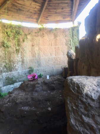 f:id:hantubojinusi:20161231102846j:image