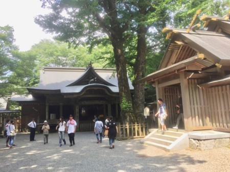 f:id:hantubojinusi:20170715141411j:image f:id:hantubojinusi:20170715141411j:image