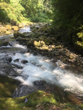 f:id:hantubojinusi:20170715143421j:image f:id:hantubojinusi:20170715143421j:image