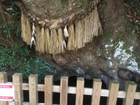 f:id:hantubojinusi:20170715152208j:image f:id:hantubojinusi:20170715152208j:image