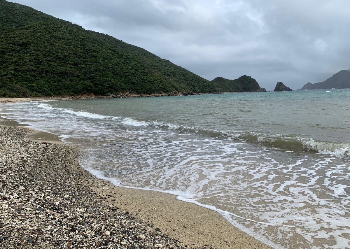 f:id:hantubojinusi:20190429145638j:plain