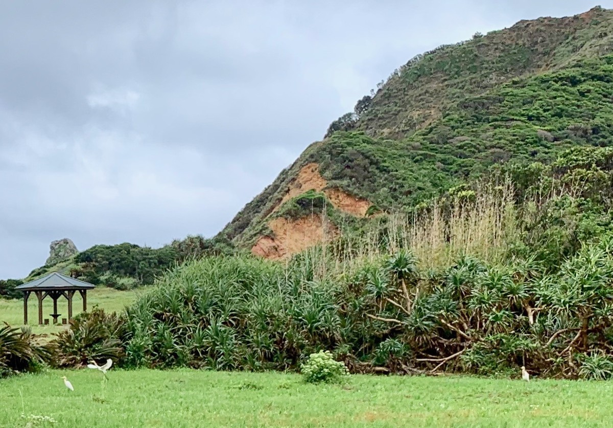 f:id:hantubojinusi:20190429150623j:plain