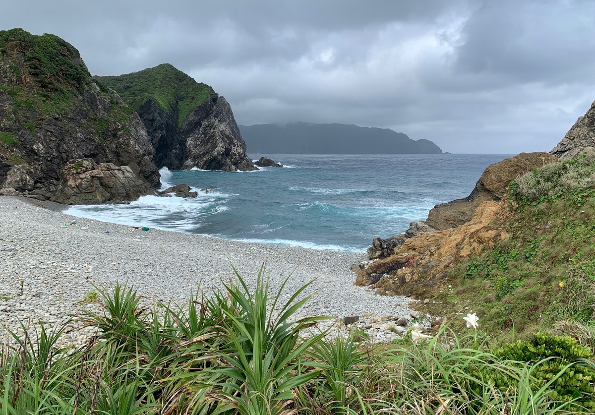 f:id:hantubojinusi:20190429151355j:plain