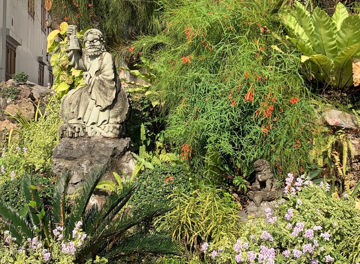 f:id:hantubojinusi:20191229150247j:plain