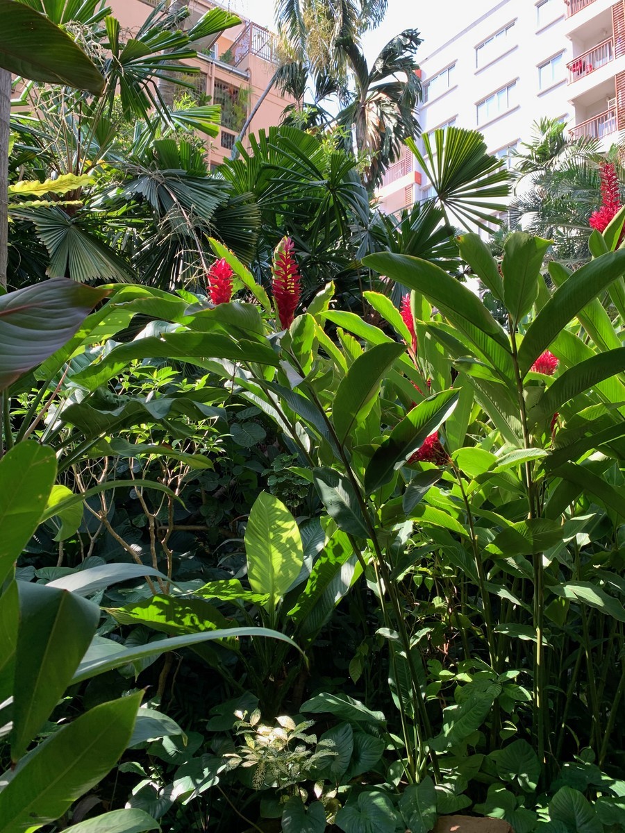 f:id:hantubojinusi:20191230105123j:plain