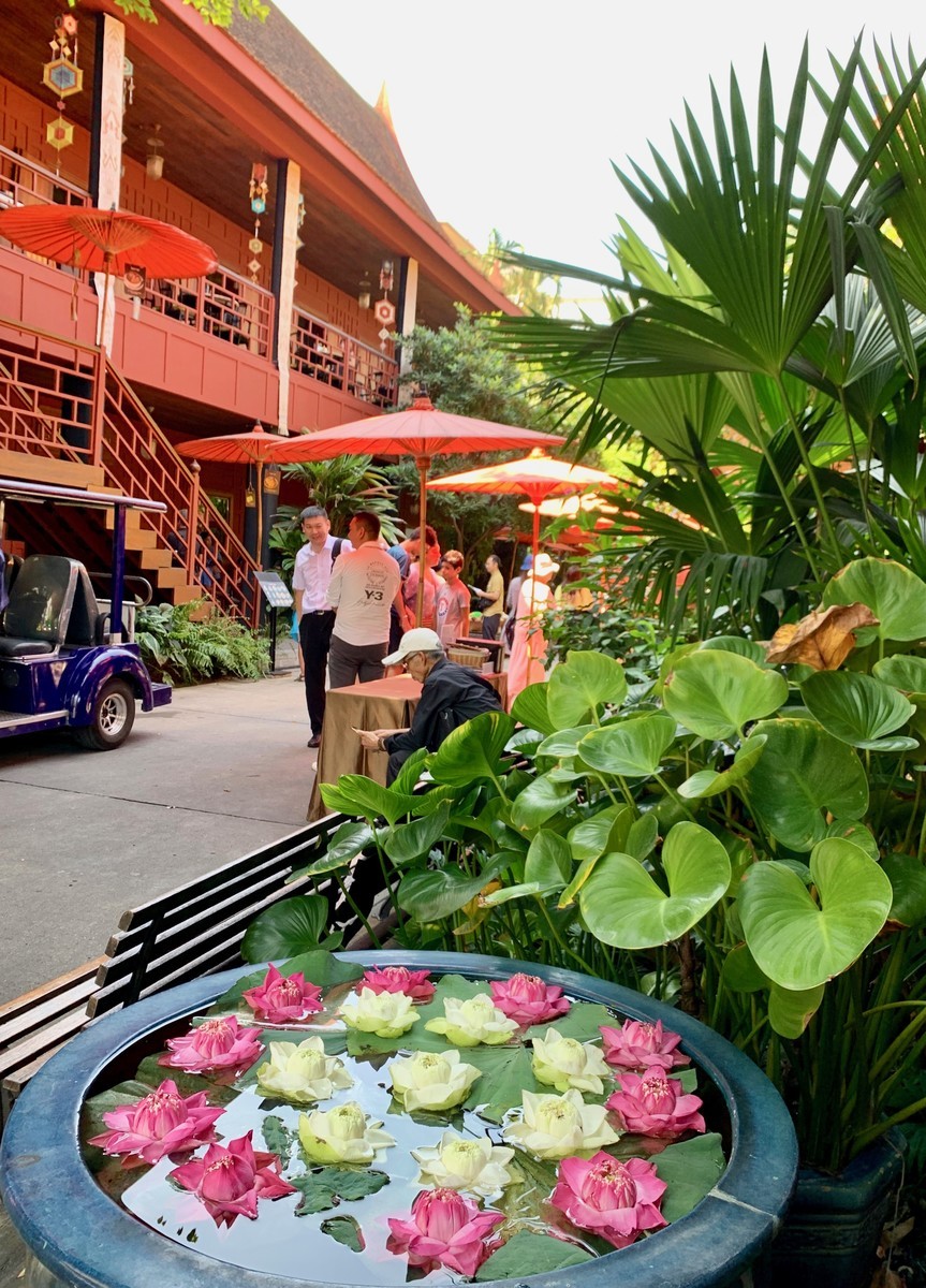 f:id:hantubojinusi:20191230114259j:plain