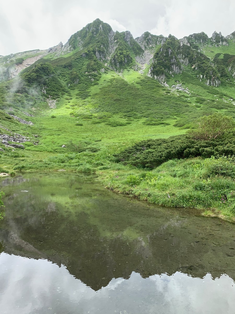 f:id:hantubojinusi:20200802132646j:plain