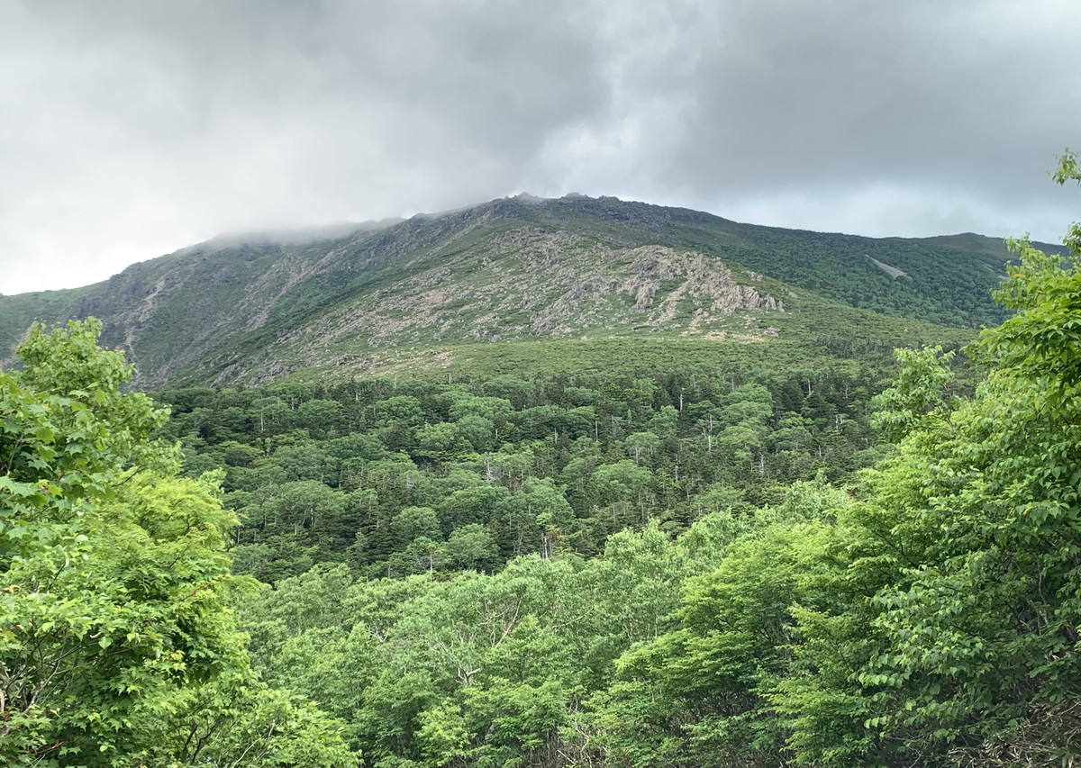 f:id:hantubojinusi:20210630101942j:plain