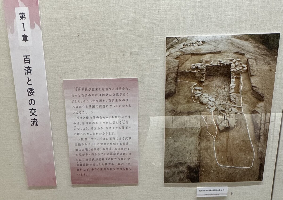 近つ飛鳥博物館⑧、特別展「百済王氏―絶統を紹ぎ興す」①