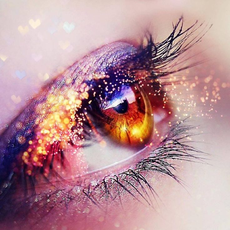 f:id:hanuru-hanuru:20161202225650j:plain