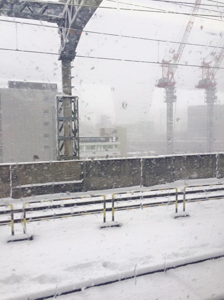 f:id:hanuru-hanuru:20170118115025j:plain