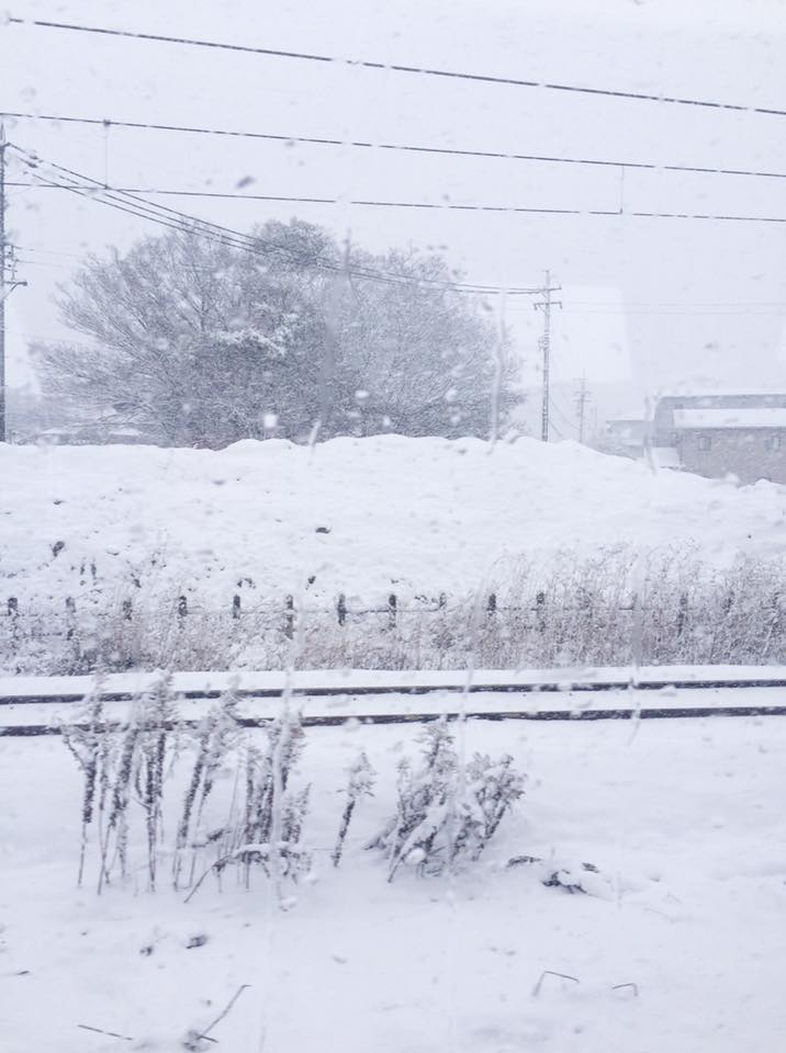 f:id:hanuru-hanuru:20170118115122j:plain