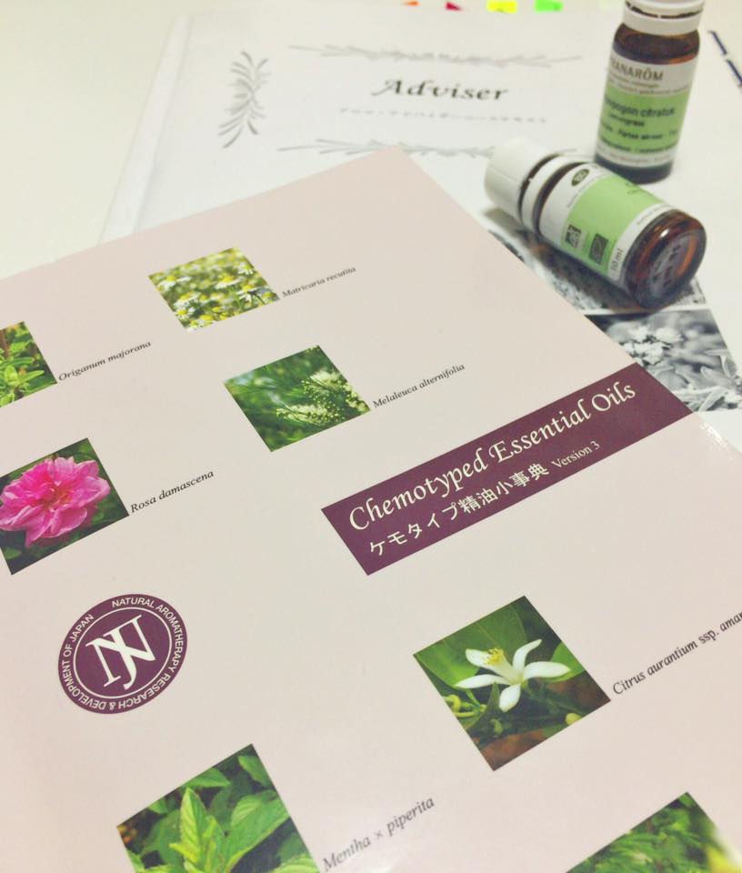 f:id:hanuru-hanuru:20170819002229j:plain