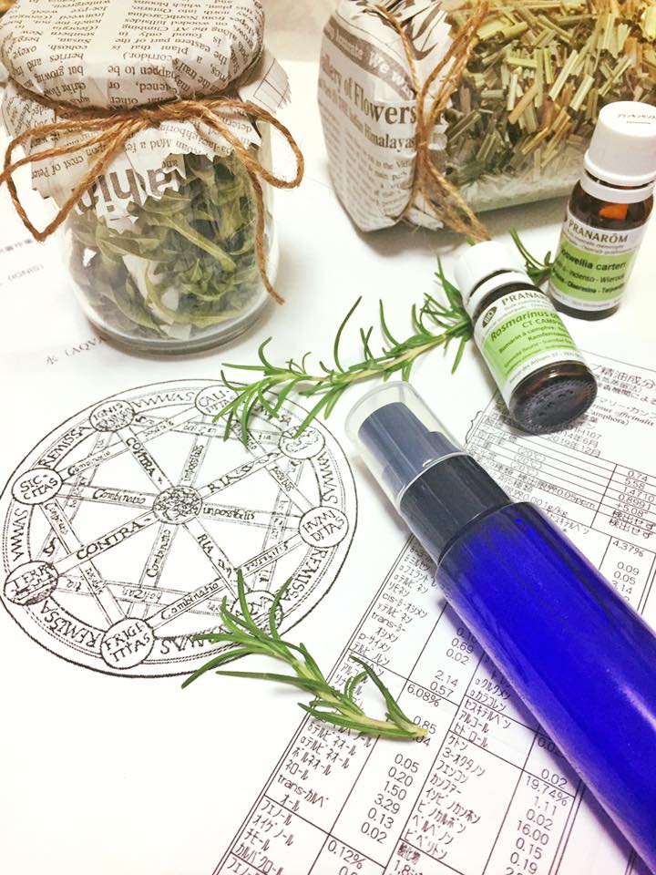 f:id:hanuru-hanuru:20171002233223j:plain f:id:hanuru-hanuru:20171002233223j:plain