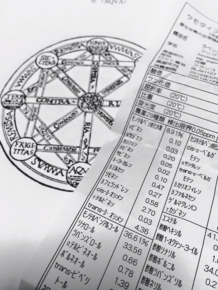 f:id:hanuru-hanuru:20171004153015j:plain f:id:hanuru-hanuru:20171004153015j:plain