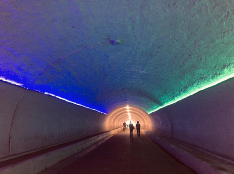 f:id:hanuru-hanuru:20190430111412j:plain f:id:hanuru-hanuru:20190430111412j:plain