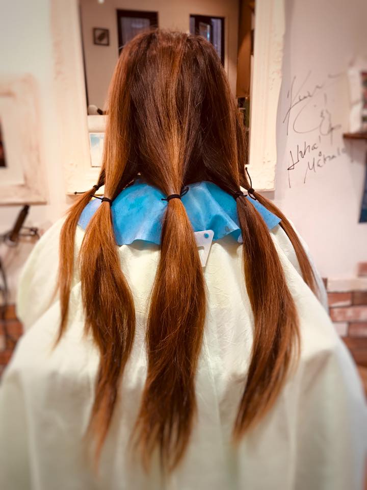 f:id:hanuru-hanuru:20190502121640j:plain f:id:hanuru-hanuru:20190502121640j:plain