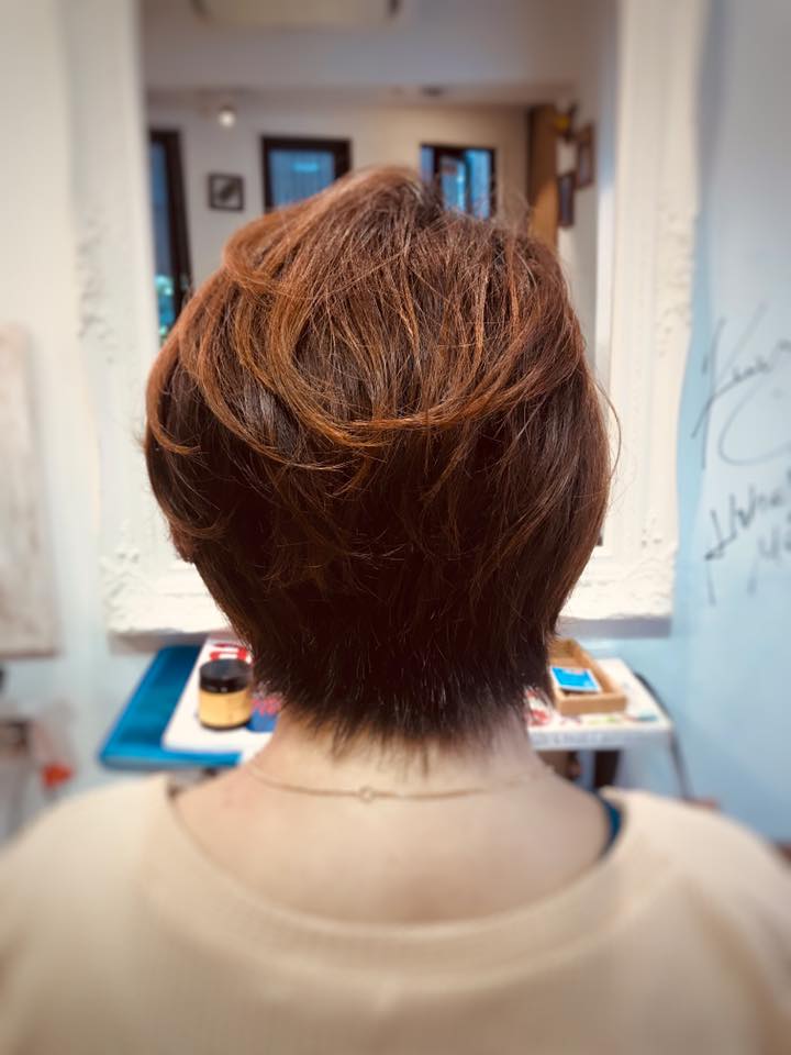 f:id:hanuru-hanuru:20190502121806j:plain f:id:hanuru-hanuru:20190502121806j:plain