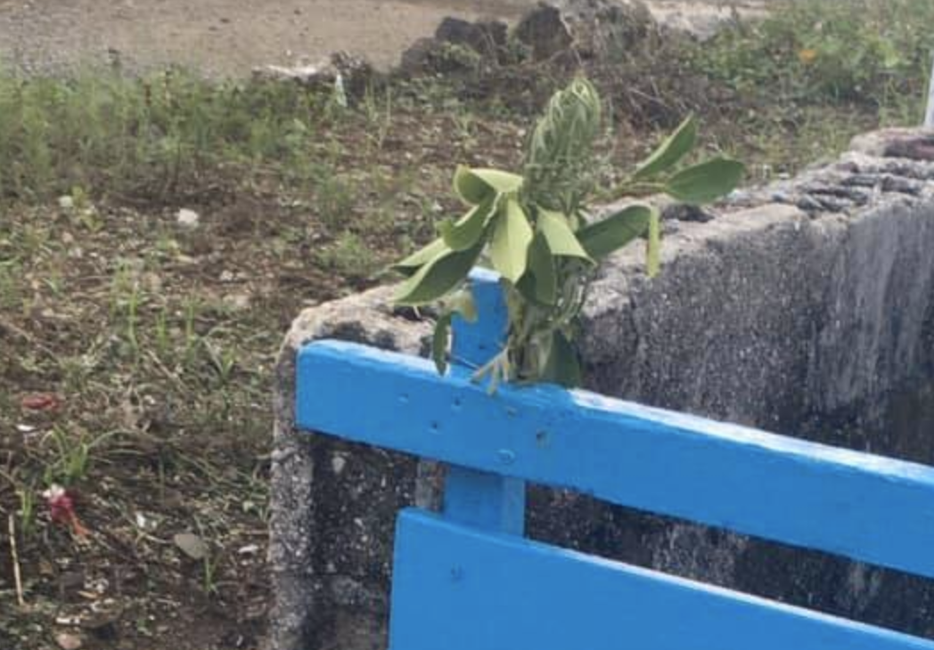 f:id:hanuru-hanuru:20200624170401p:plain