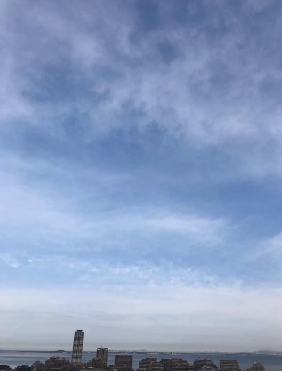 f:id:hanuru-hanuru:20201231130136p:plain