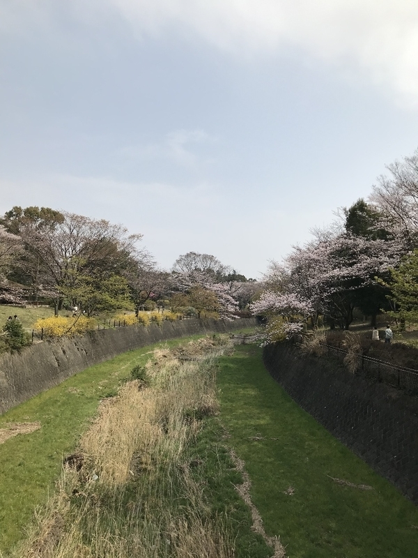 イメージ 4