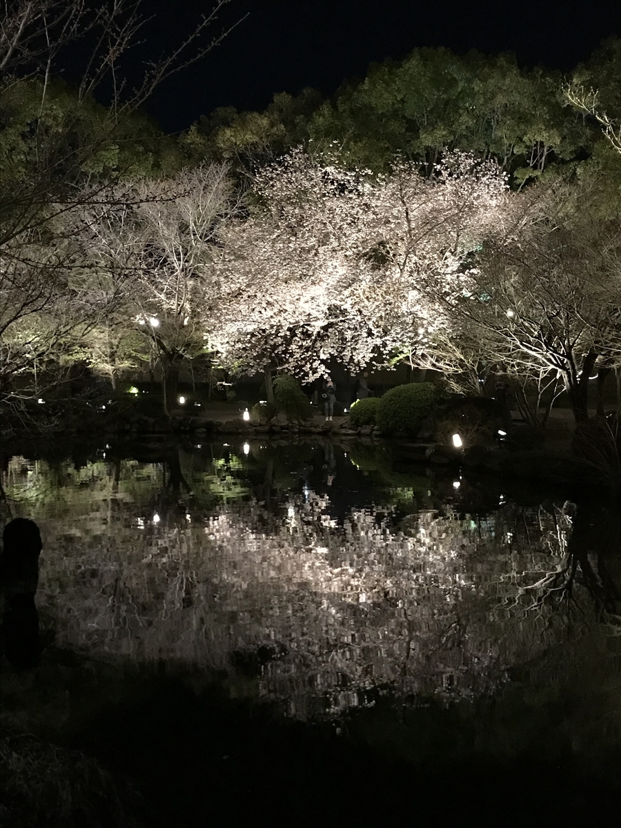 f:id:hanyu_ya:20200328224545j:plain