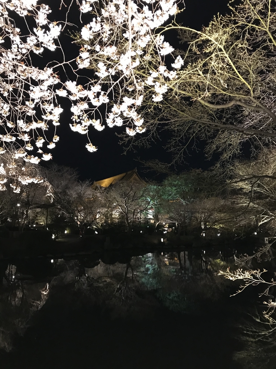 f:id:hanyu_ya:20200328224809j:plain