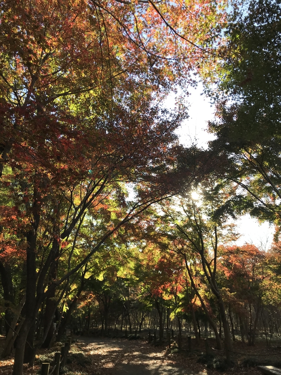 f:id:hanyu_ya:20210101202349j:plain