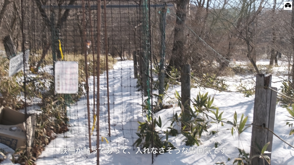 f:id:hanza-blog:20210201153452j:plain