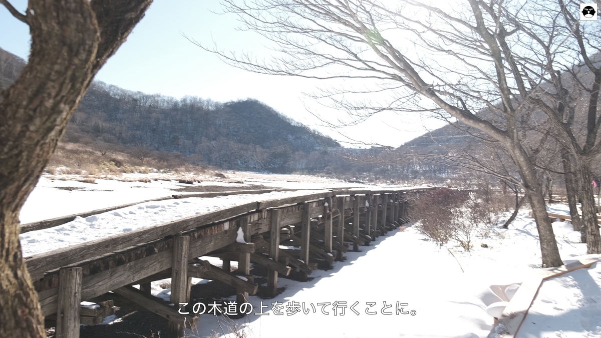 f:id:hanza-blog:20210201154027j:plain