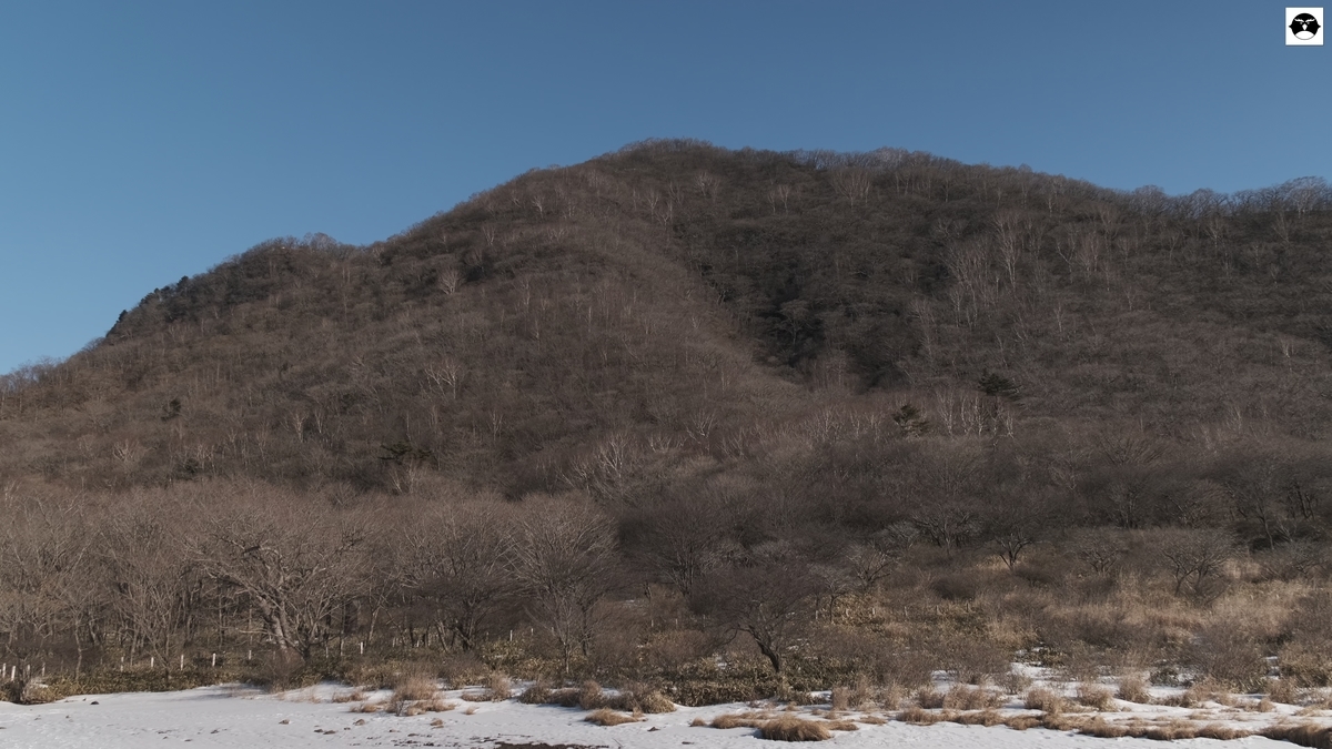 f:id:hanza-blog:20210201154918j:plain