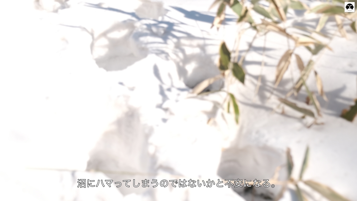 f:id:hanza-blog:20210201155424j:plain
