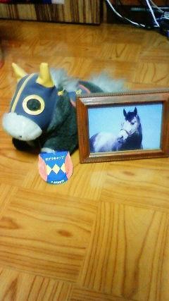 f:id:hanzo510:20100704133627j:image f:id:hanzo510:20100704133627j:image